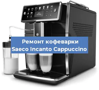 Чистка кофемашины Saeco Incanto Cappuccino от кофейных масел в Нижнем Новгороде